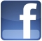 file_231